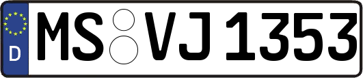 MS-VJ1353