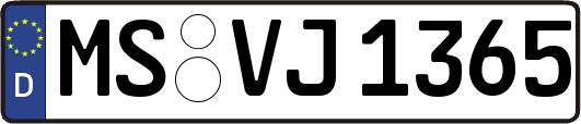 MS-VJ1365