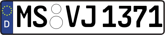 MS-VJ1371