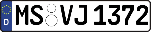 MS-VJ1372