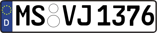MS-VJ1376