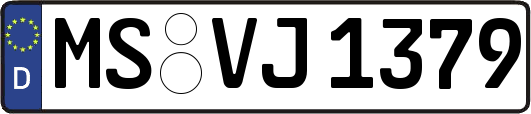 MS-VJ1379
