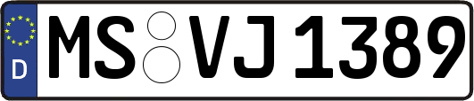 MS-VJ1389