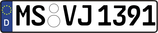 MS-VJ1391