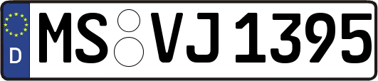 MS-VJ1395