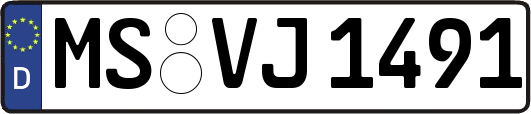 MS-VJ1491