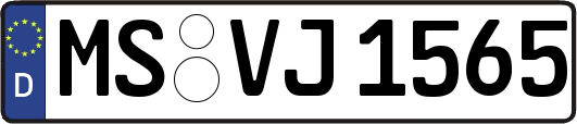 MS-VJ1565
