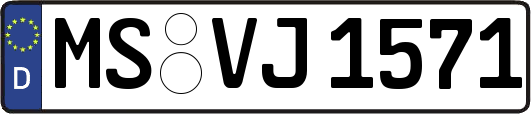 MS-VJ1571