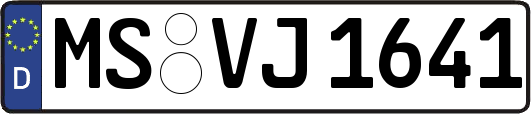 MS-VJ1641