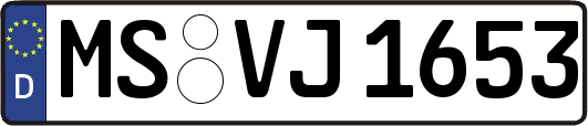 MS-VJ1653