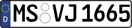 MS-VJ1665