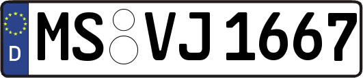 MS-VJ1667