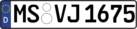 MS-VJ1675