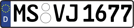 MS-VJ1677