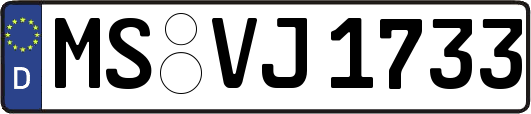 MS-VJ1733