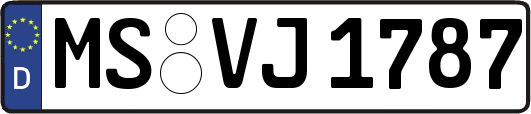 MS-VJ1787