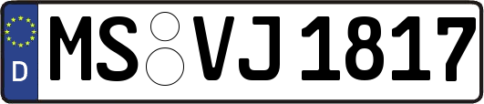 MS-VJ1817