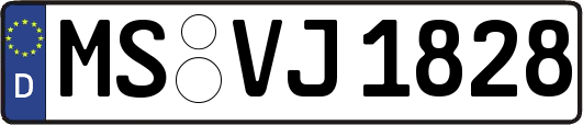 MS-VJ1828