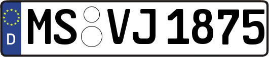 MS-VJ1875