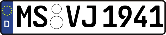 MS-VJ1941