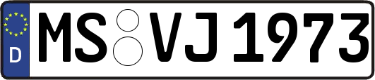 MS-VJ1973