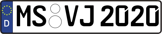 MS-VJ2020