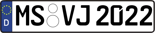 MS-VJ2022