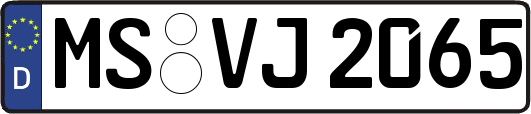 MS-VJ2065