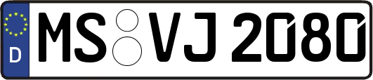 MS-VJ2080