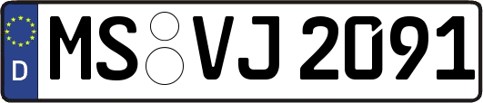 MS-VJ2091