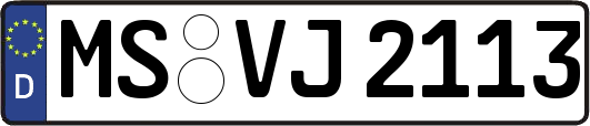 MS-VJ2113