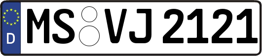 MS-VJ2121