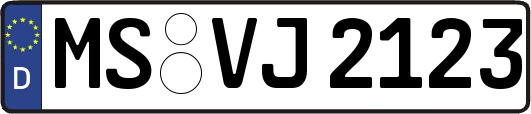 MS-VJ2123
