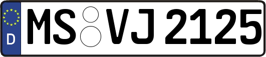 MS-VJ2125