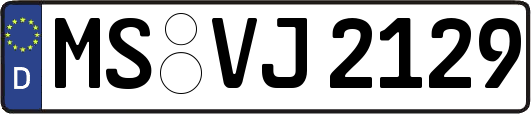 MS-VJ2129