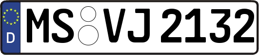 MS-VJ2132