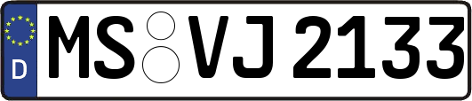 MS-VJ2133