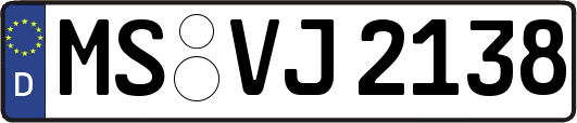 MS-VJ2138