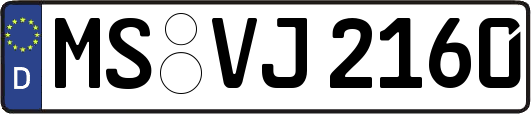 MS-VJ2160