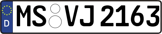 MS-VJ2163