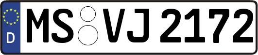 MS-VJ2172