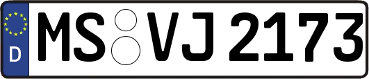 MS-VJ2173