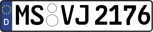 MS-VJ2176