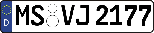 MS-VJ2177