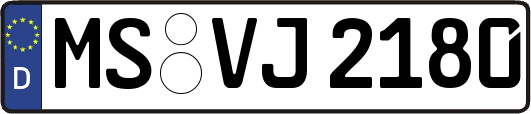 MS-VJ2180