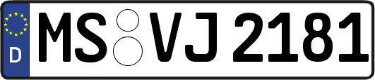 MS-VJ2181