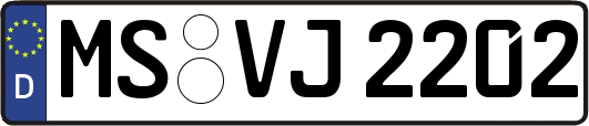 MS-VJ2202