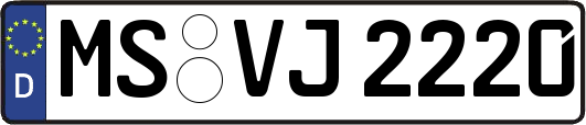 MS-VJ2220
