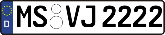 MS-VJ2222