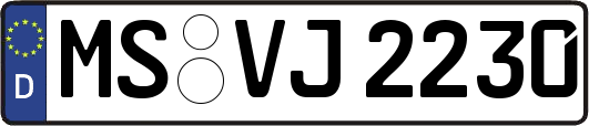 MS-VJ2230